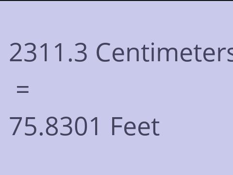 2311.3 CM TO FEET