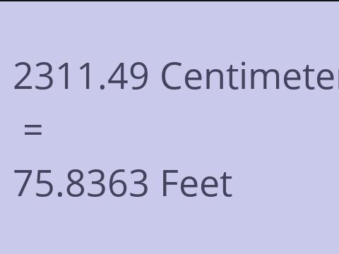 2311.49 CM TO FEET