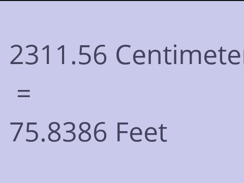 2311.56 CM TO FEET