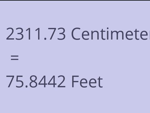 2311.73 CM TO FEET