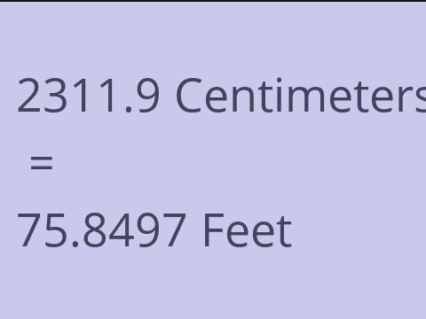2311.9 CM TO FEET