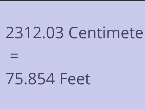 2312.03 CM TO FEET