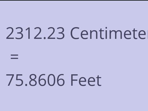 2312.23 CM TO FEET
