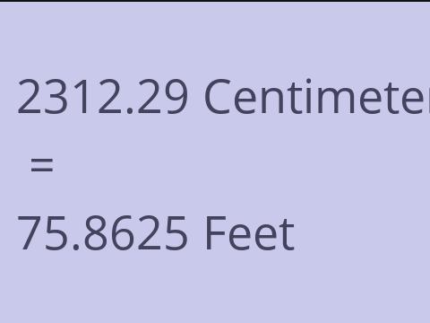2312.29 CM TO FEET