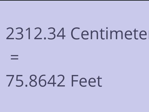 2312.34 CM TO FEET