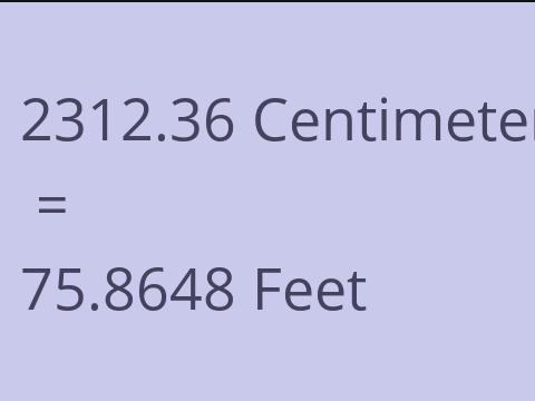 2312.36 CM TO FEET