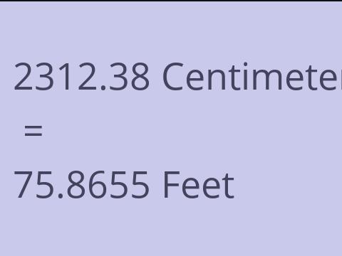 2312.38 CM TO FEET