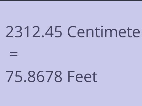 2312.45 CM TO FEET