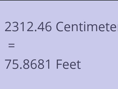 2312.46 CM TO FEET