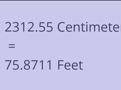 2312.55 CM TO FEET