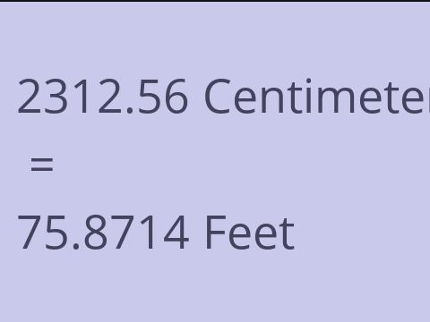 2312.56 CM TO FEET