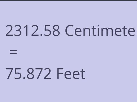 2312.58 CM TO FEET