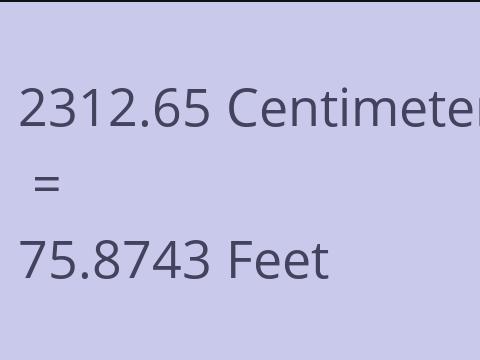 2312.65 CM TO FEET