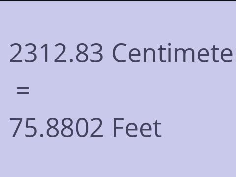 2312.83 CM TO FEET