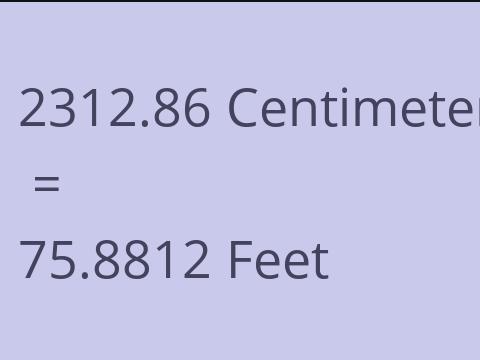 2312.86 CM TO FEET