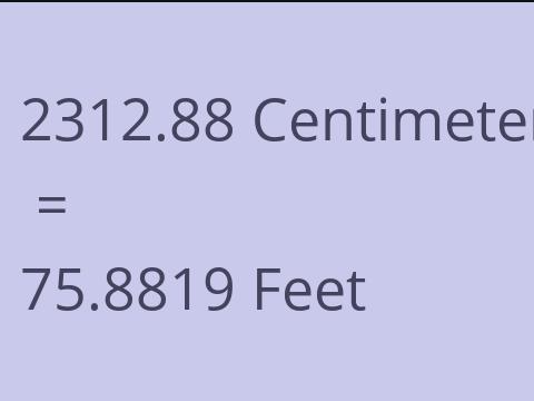 2312.88 CM TO FEET