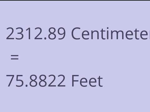 2312.89 CM TO FEET