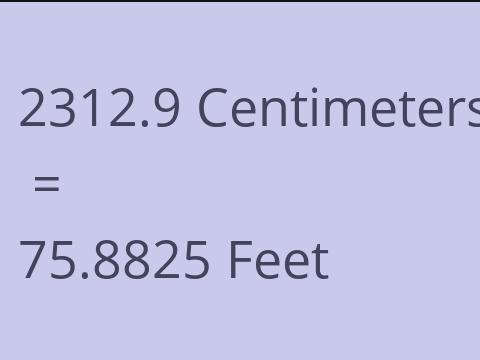2312.9 CM TO FEET