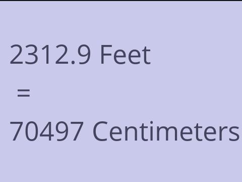 2312.9 FEET TO CM