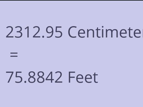 2312.95 CM TO FEET