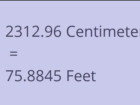 2312.96 CM TO FEET