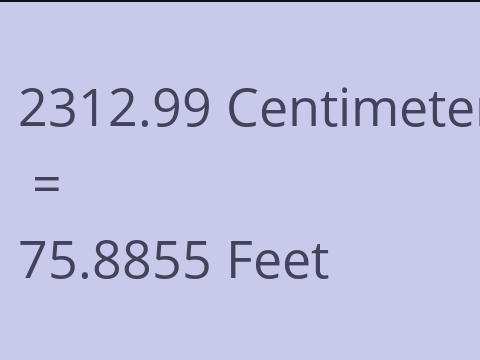 2312.99 CM TO FEET