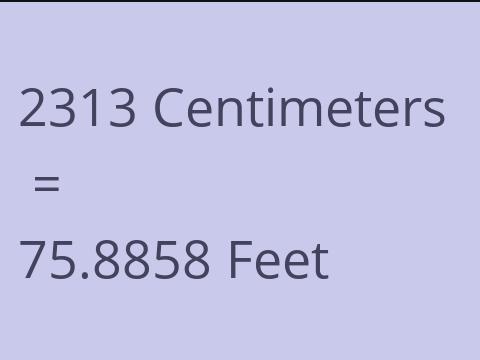 2313 CM TO FEET