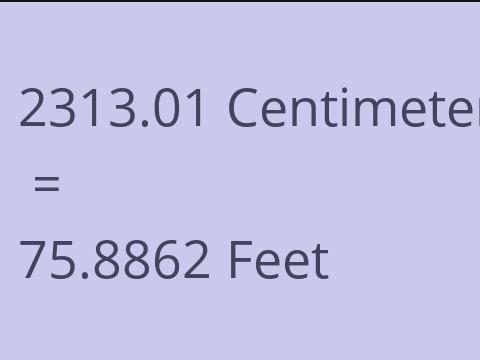 2313.01 CM TO FEET