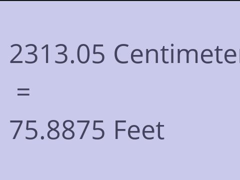 2313.05 CM TO FEET