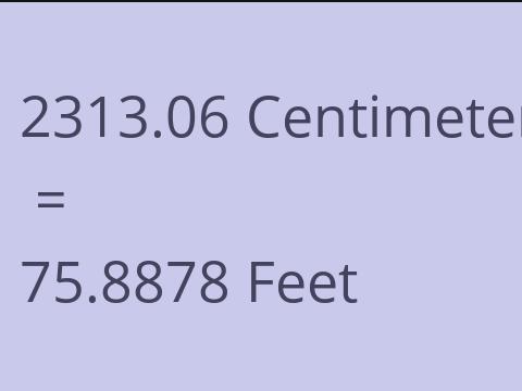 2313.06 CM TO FEET
