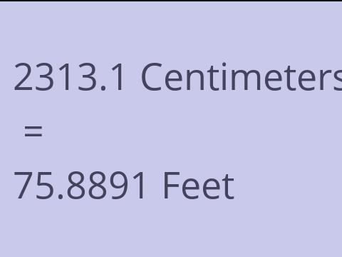 2313.1 CM TO FEET