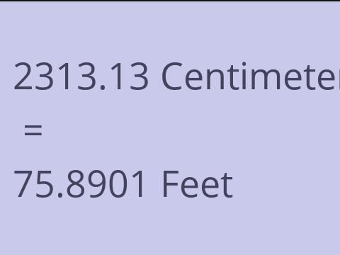 2313.13 CM TO FEET