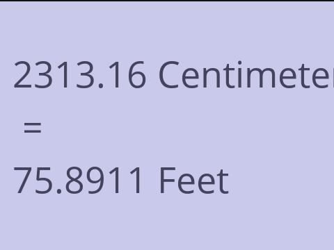 2313.16 CM TO FEET