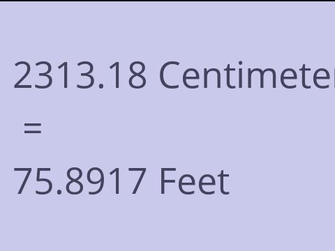 2313.18 CM TO FEET