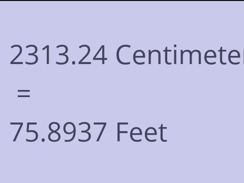 2313.24 CM TO FEET