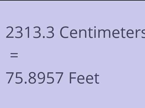 2313.3 CM TO FEET
