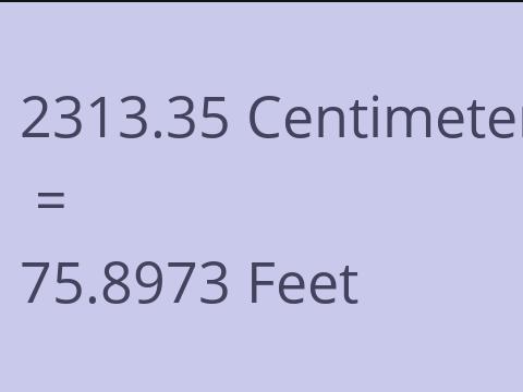 2313.35 CM TO FEET