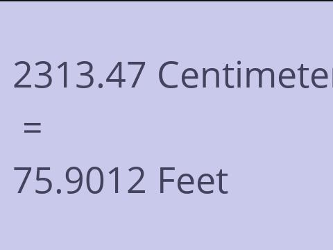 2313.47 CM TO FEET