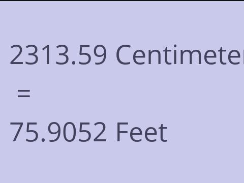 2313.59 CM TO FEET