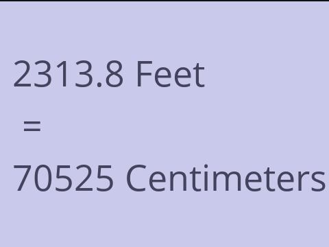 2313.8 FEET TO CM