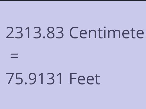 2313.83 CM TO FEET