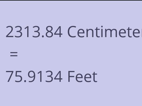 2313.84 CM TO FEET