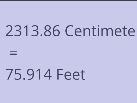 2313.86 CM TO FEET