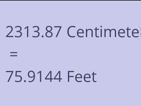 2313.87 CM TO FEET