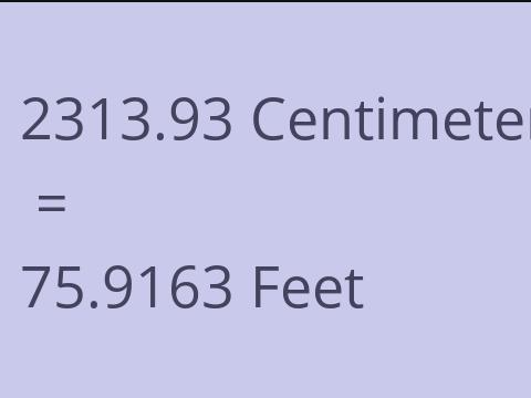 2313.93 CM TO FEET