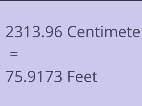 2313.96 CM TO FEET