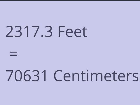 2317.3 FEET TO CM