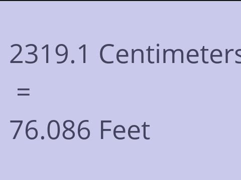 2319.1 CM TO FEET
