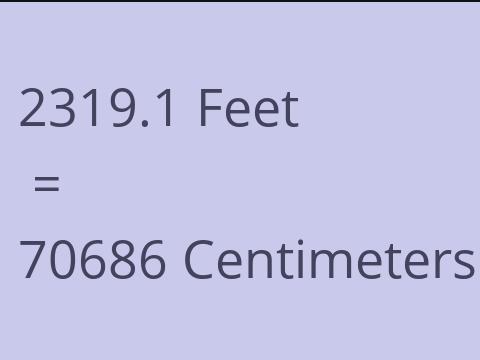 2319.1 FEET TO CM