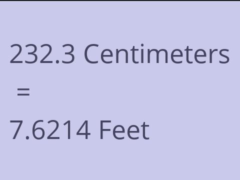 232.3 CM TO FEET